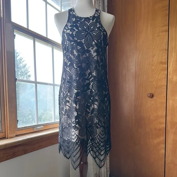 Express- NWT: Elegant Black Lace Dress - Picture 3 of 16